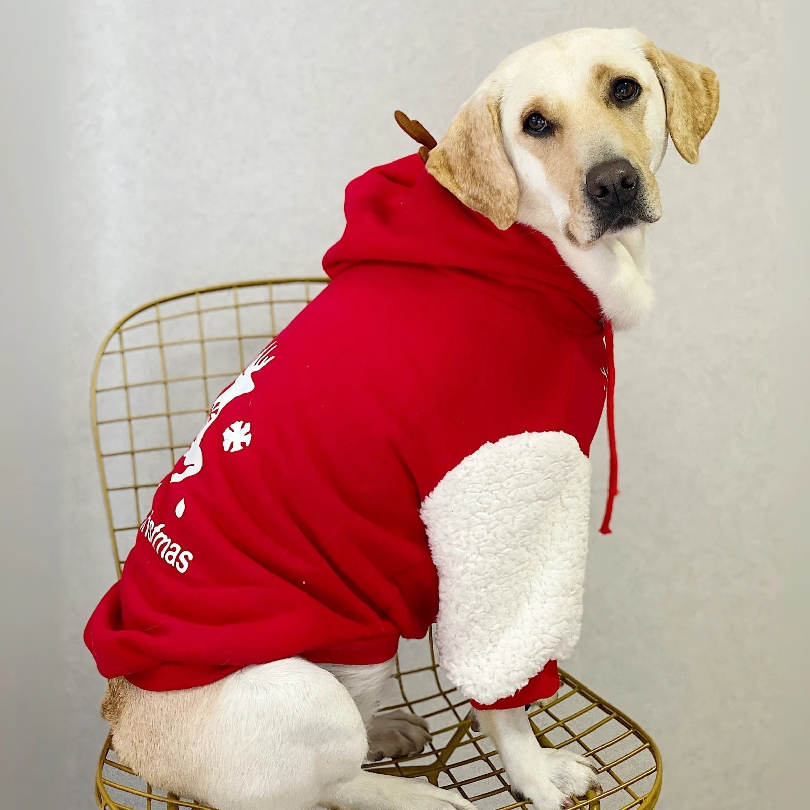 Merry Christmas Reindeer Hoodie