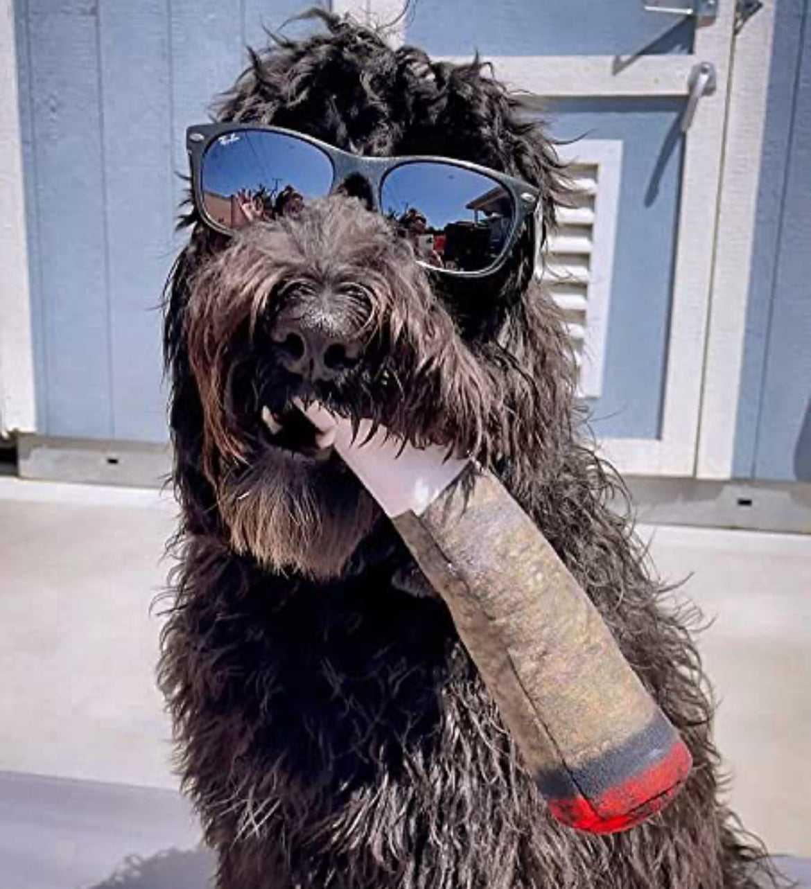Dog Joint Cigarette