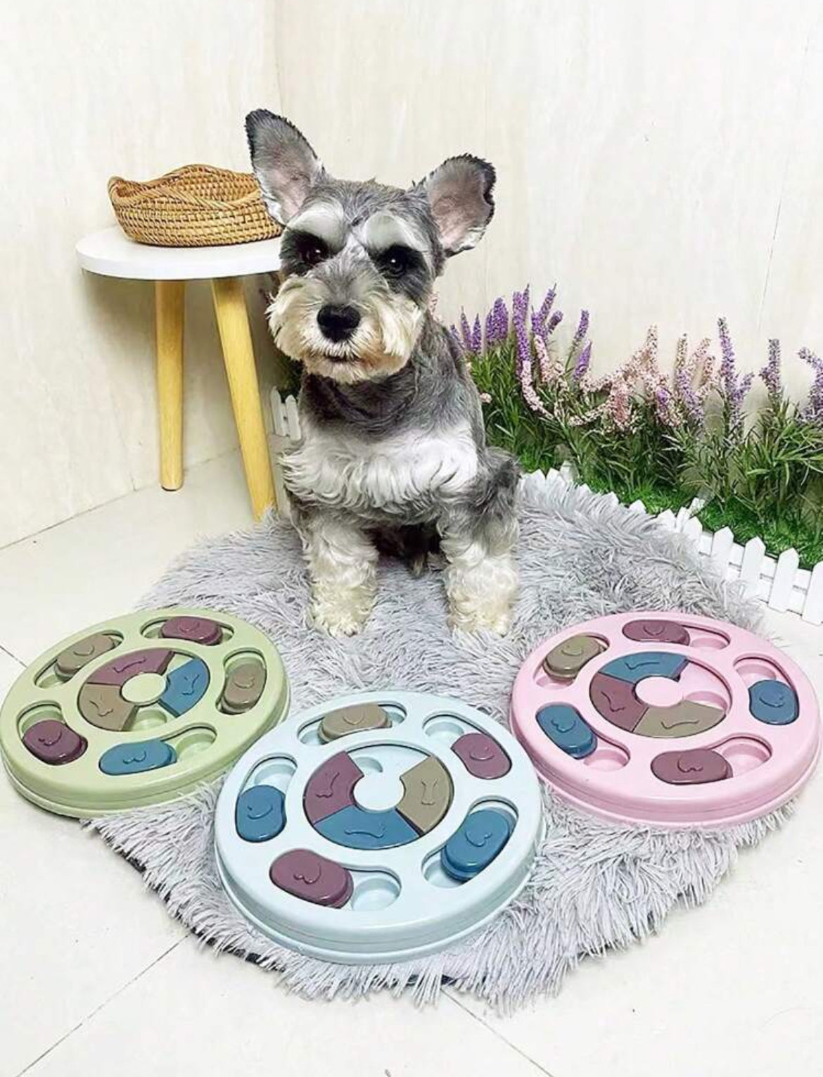 Treat Enrichment Puzzle