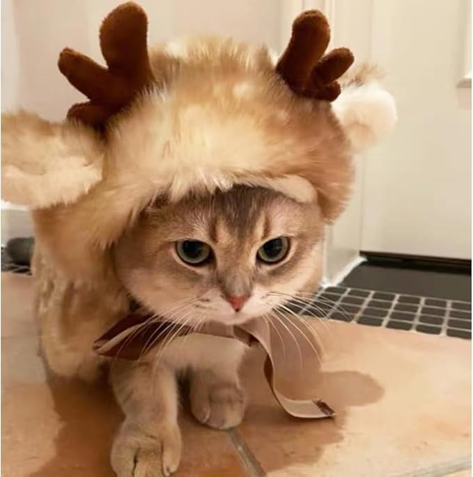 Reindeer Cape