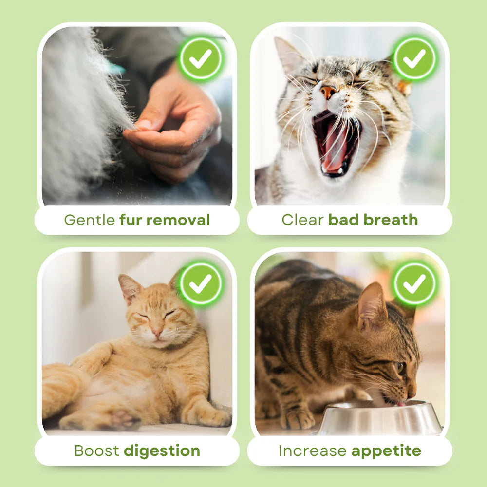 Cat Grass Teething Sticks 6pcs/Bag