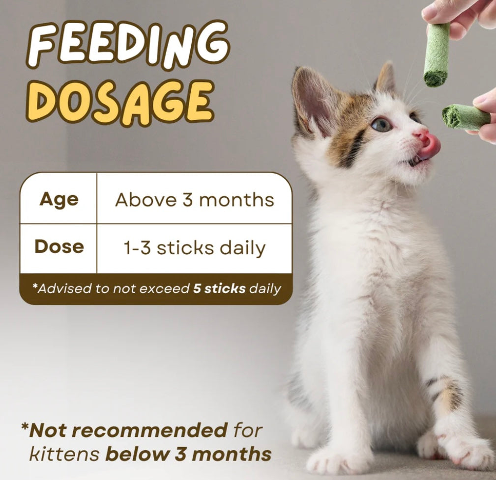 Freeze-Dried Cat Grass Sticks
