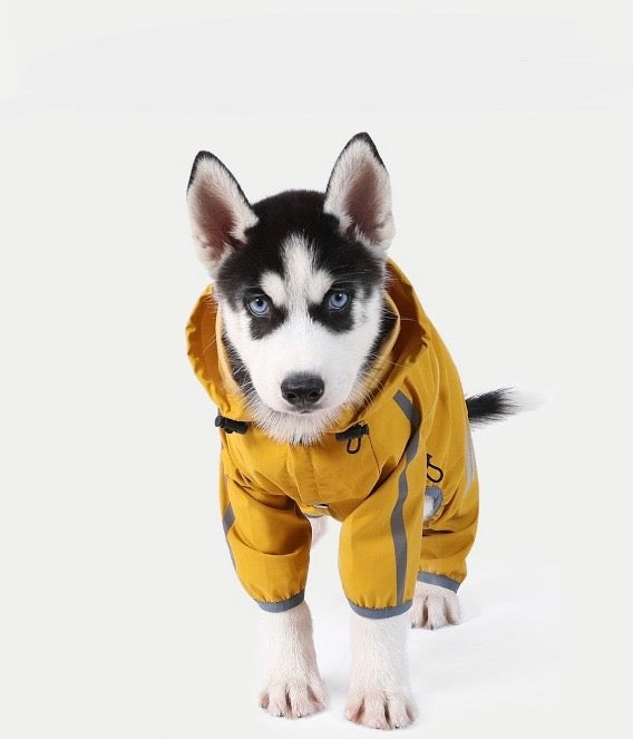 Rain Coat