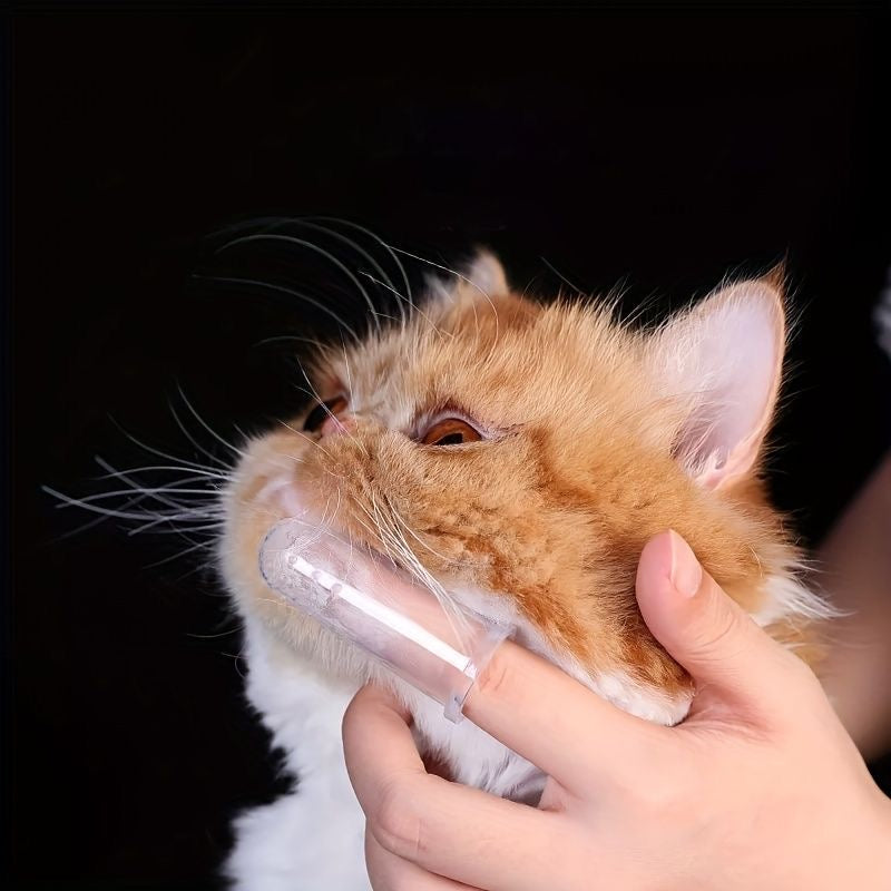 Finger Toothbrush with Case