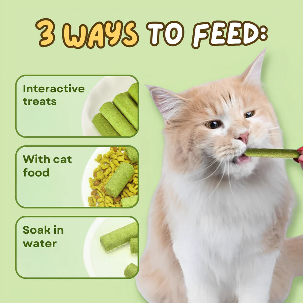 Cat Grass Teething Sticks 6pcs/Bag