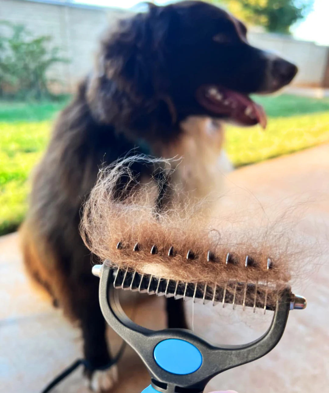 Undercoat Rake Brush