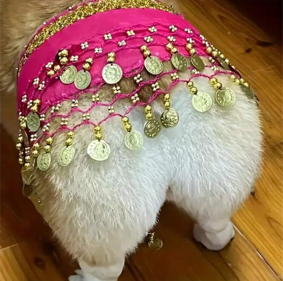Belly Dance Skirt