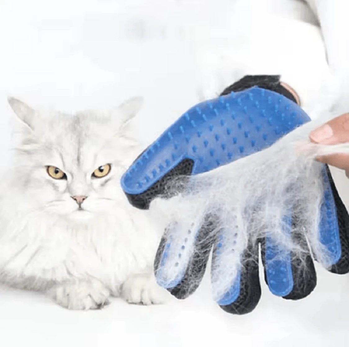 Hand Glove Brush