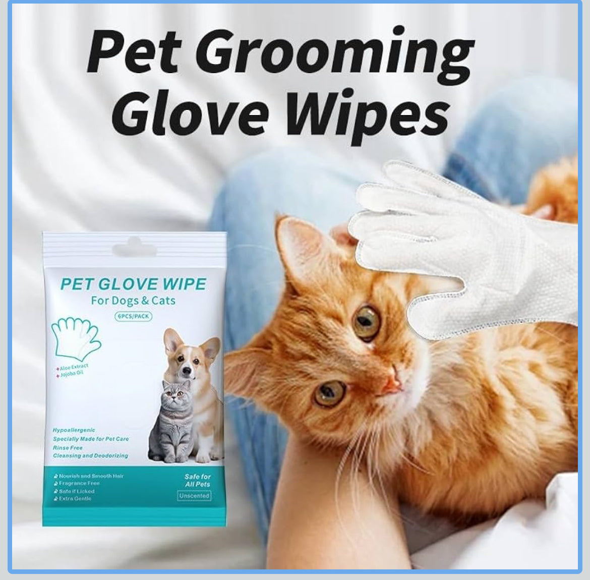 Glove Wipes