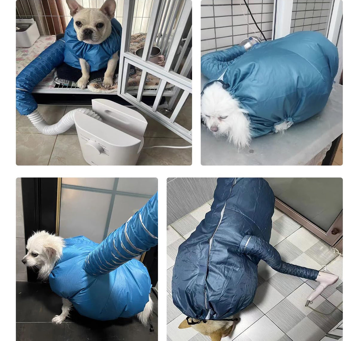 Blow Dry Suit