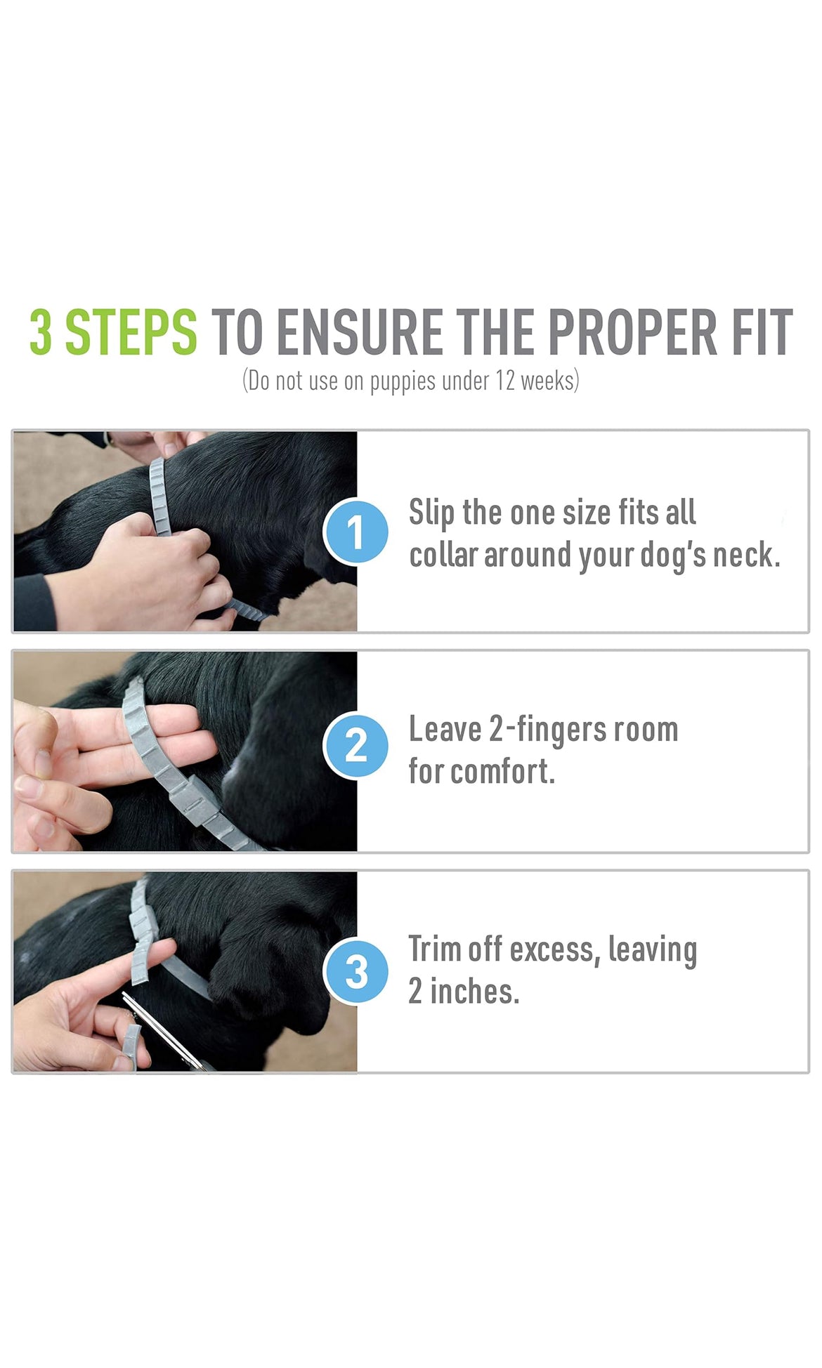 Flea & Tick Repellant Collar