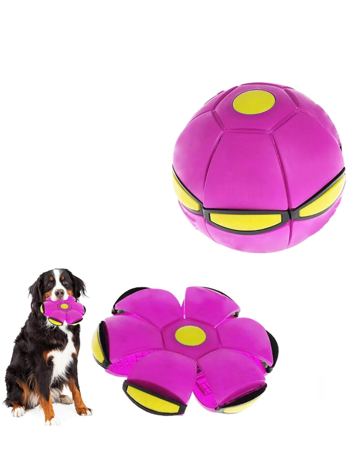 Flat Ball Toy