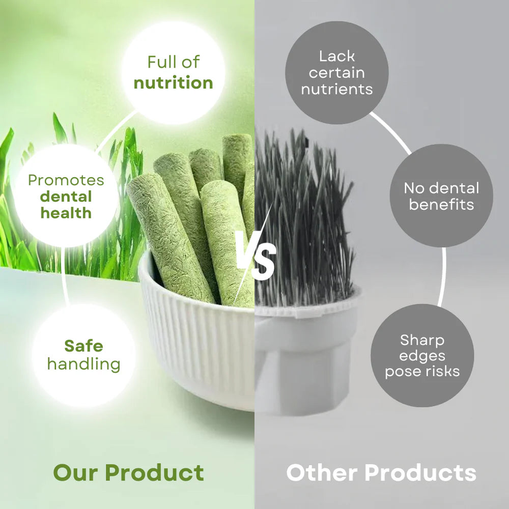 Cat Grass Teething Sticks 6pcs/Bag