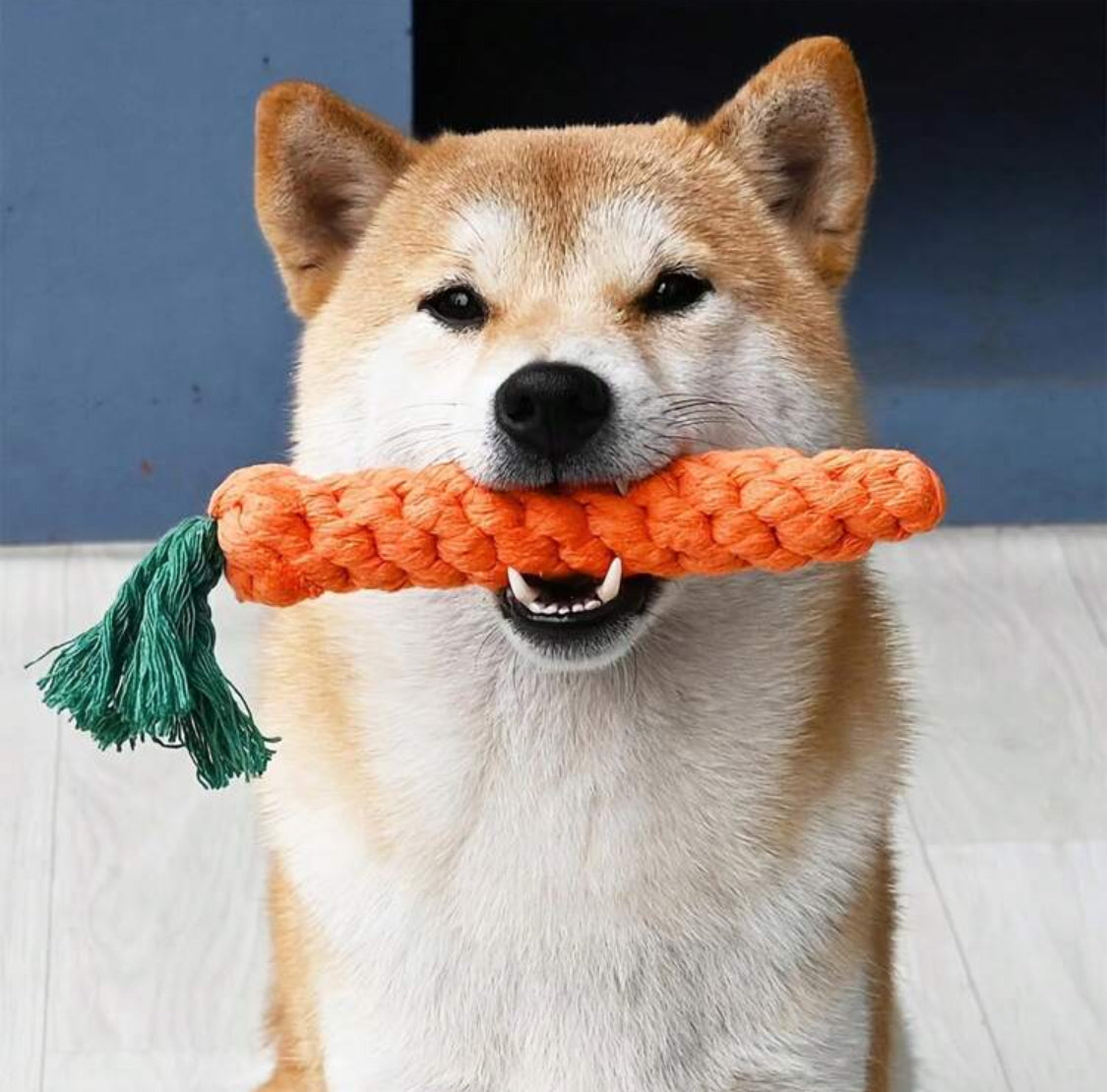 Carrot Chew Toy