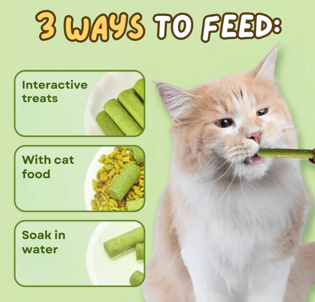 Freeze-Dried Cat Grass Sticks