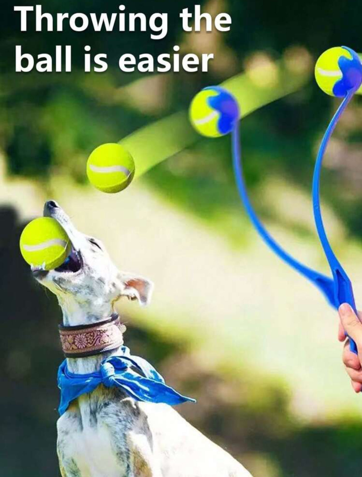 Ball Thrower with Tennis Ball