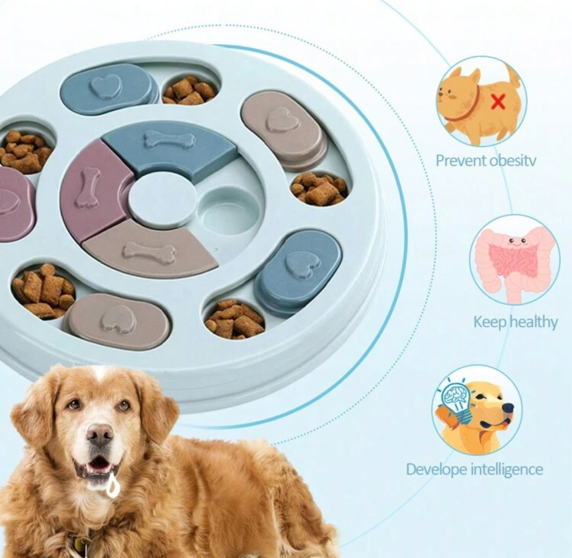Treat Enrichment Puzzle