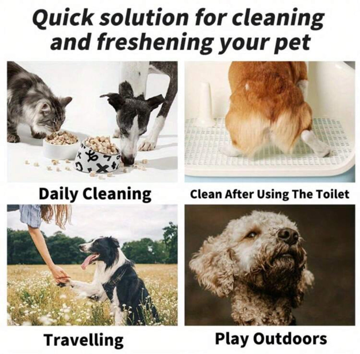 General Wipes