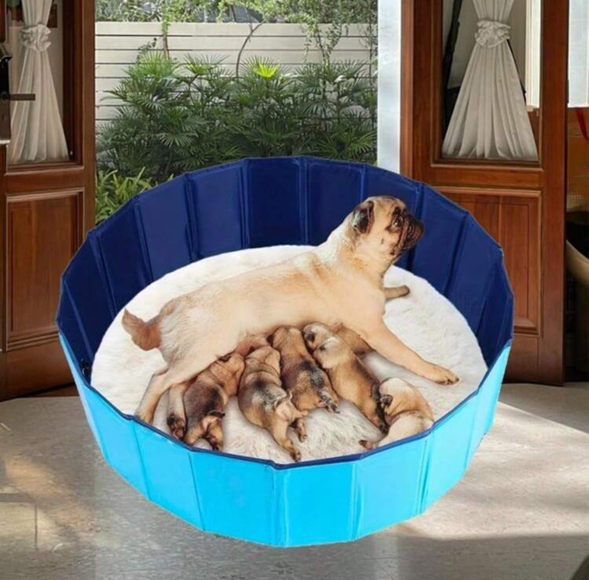 Foldable Pet Pool