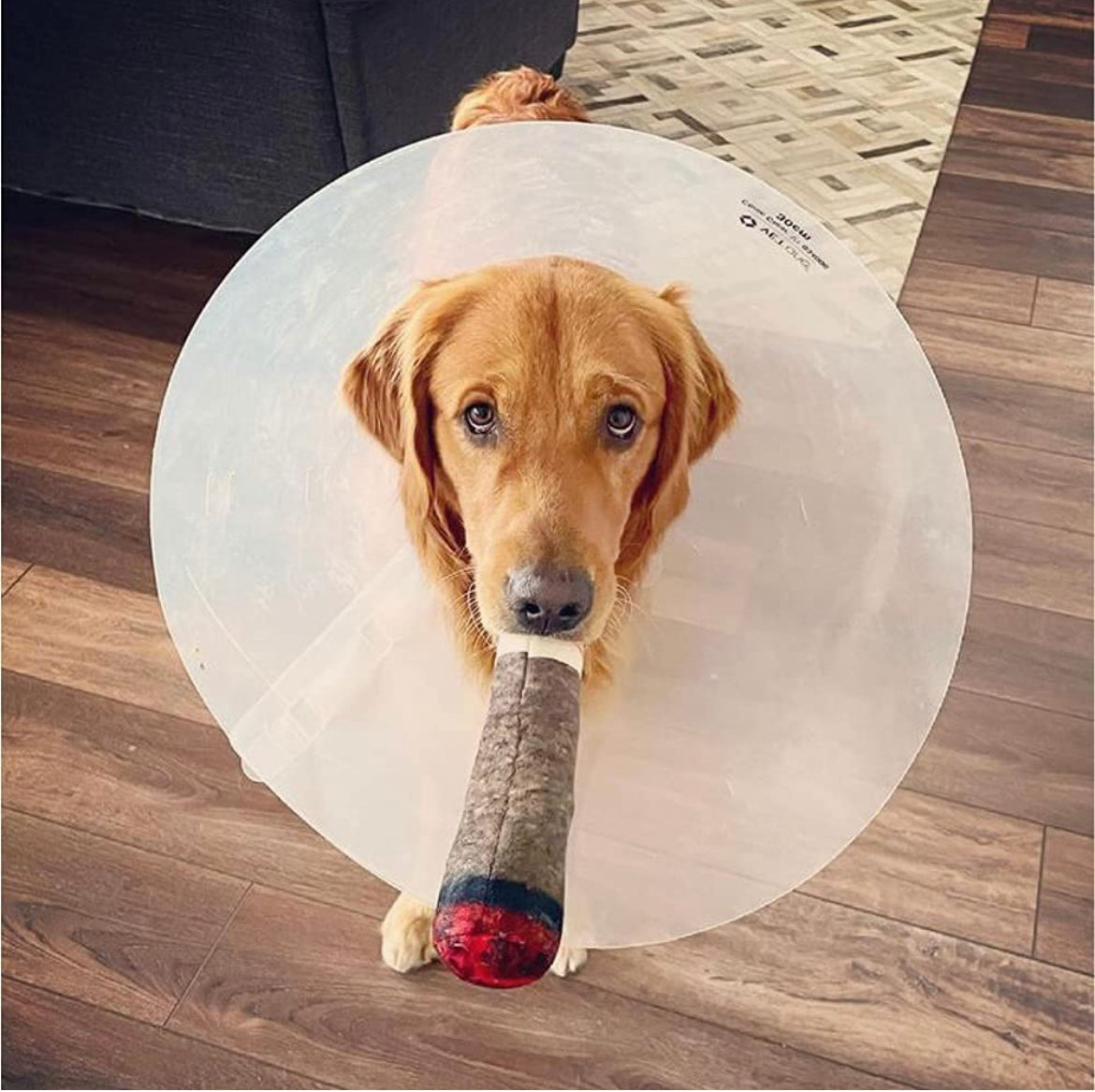 Dog Joint Cigarette