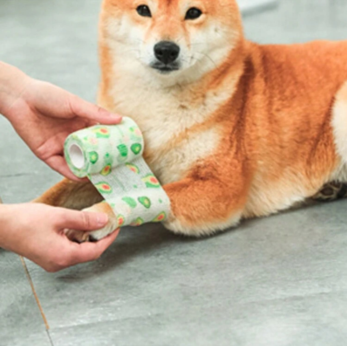 Vet Wrap