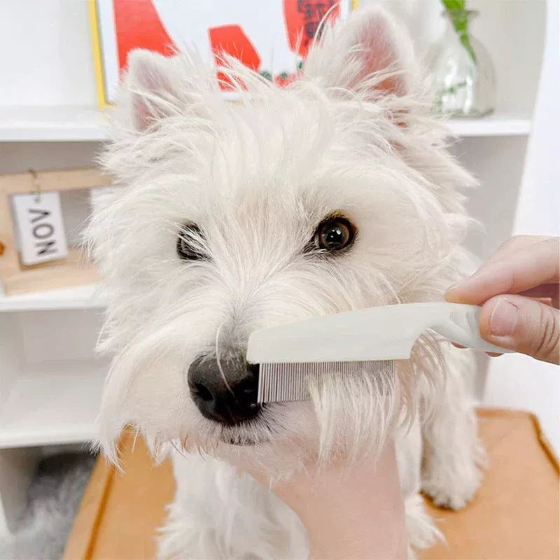 Flea Comb