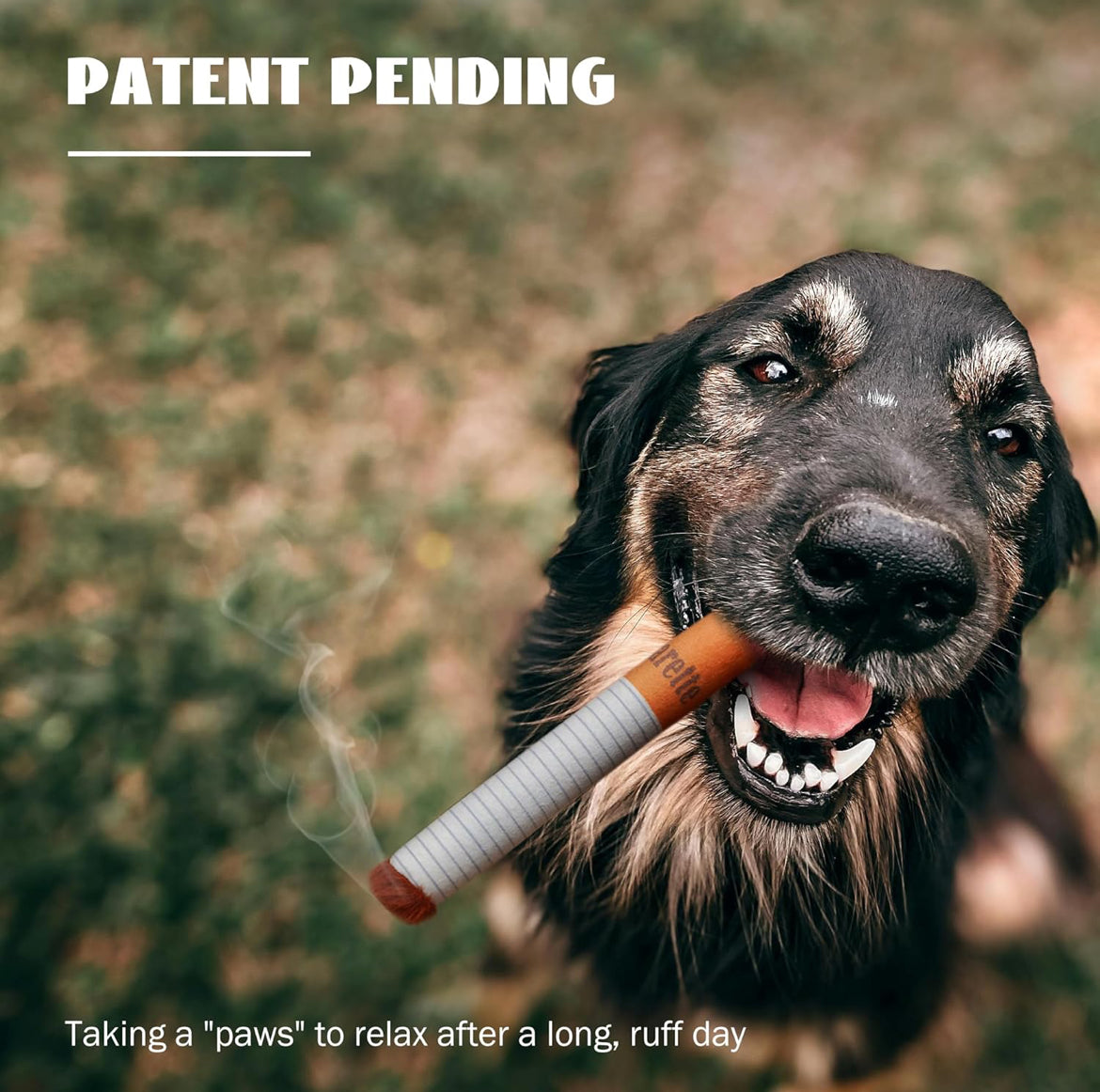 Dog Cigarette Pack