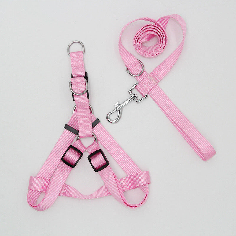 Nylon Harness & Leash Set