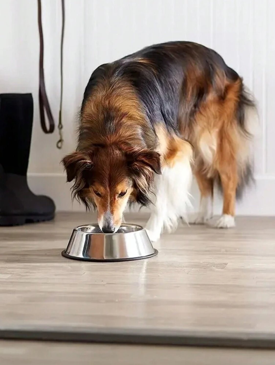 Sticky Bottom Stainless Steel Bowl