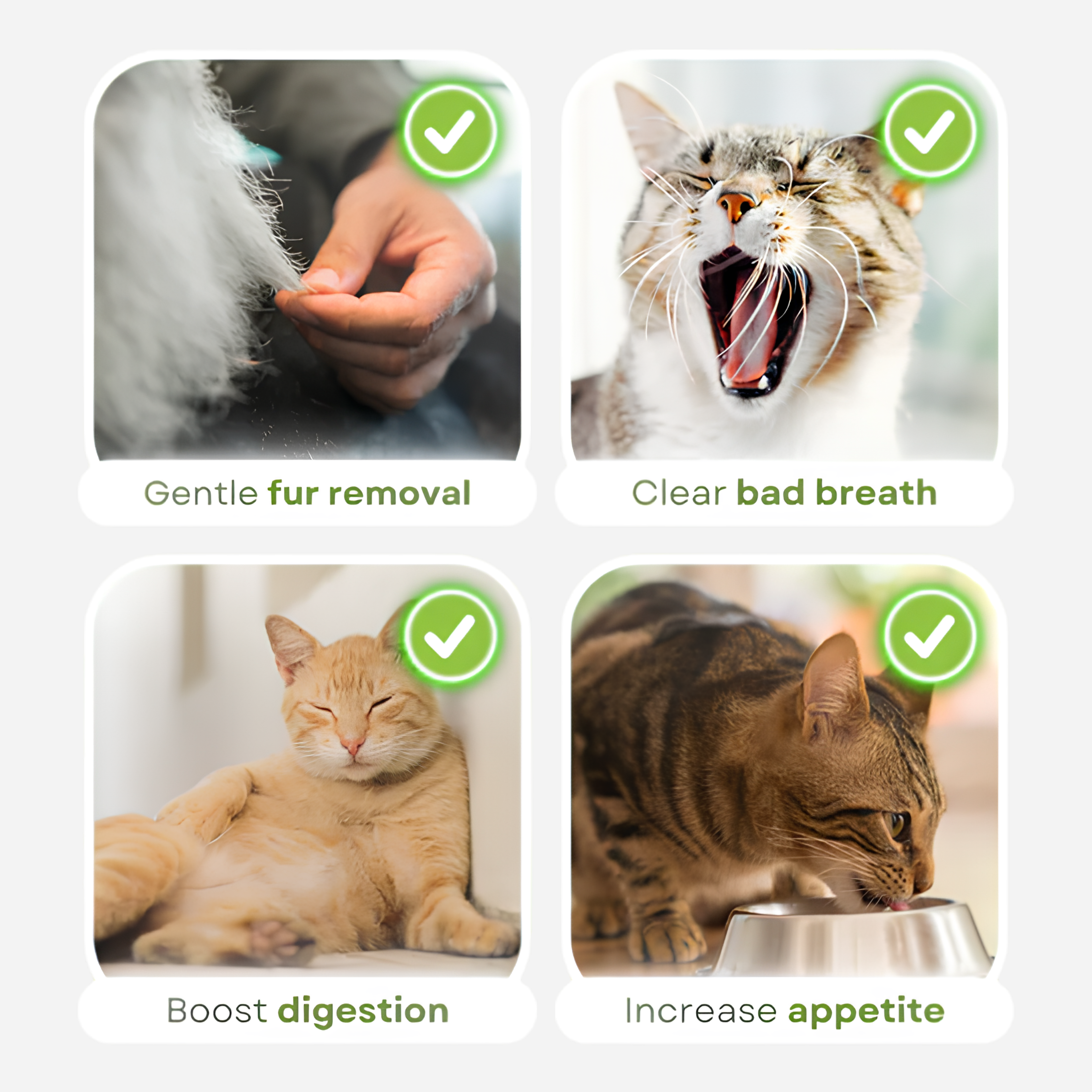 Cat Grass Teething Sticks - 6pcs/Bag