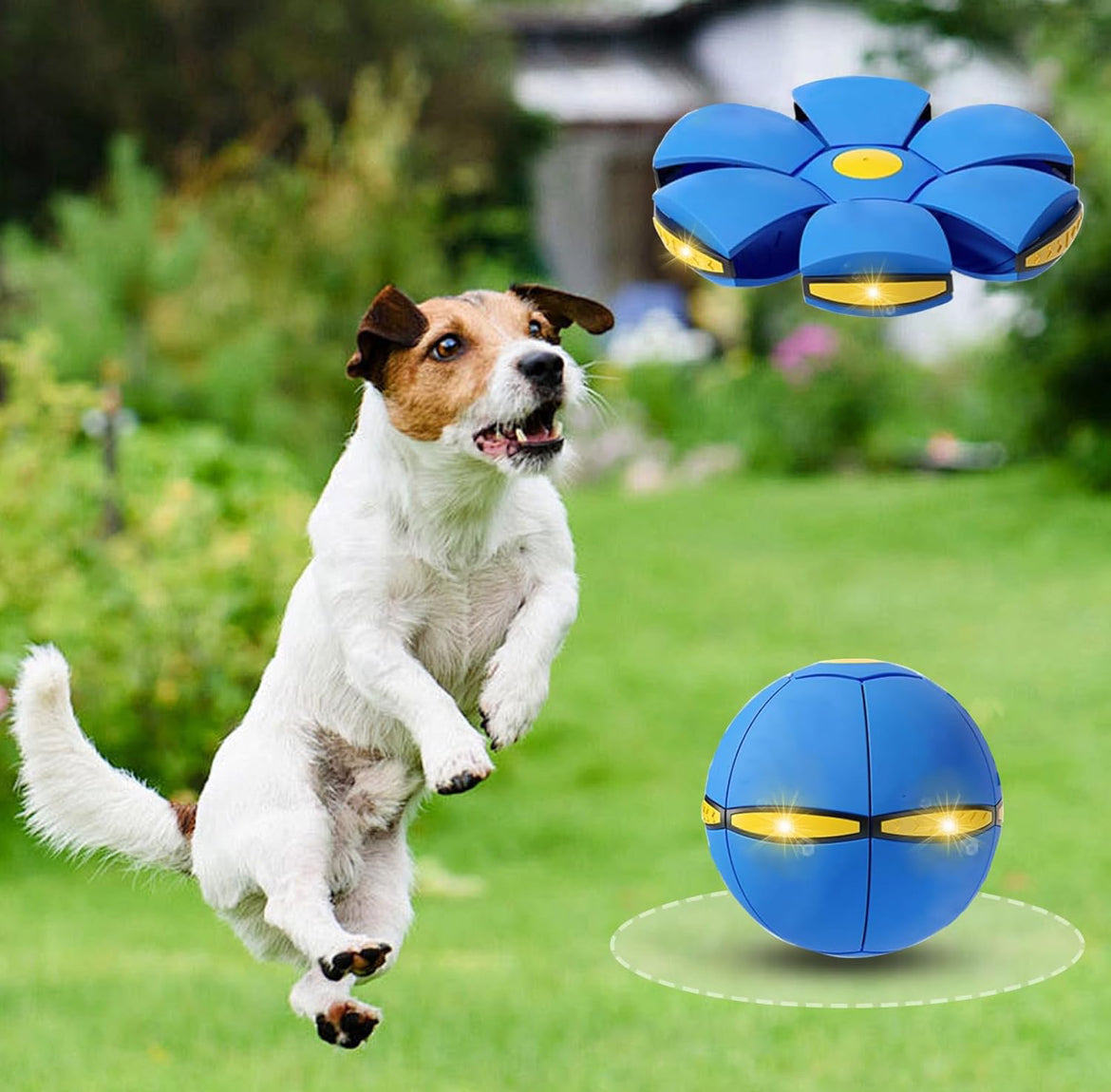Flat Ball Toy