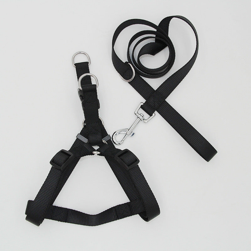 Nylon Harness & Leash Set
