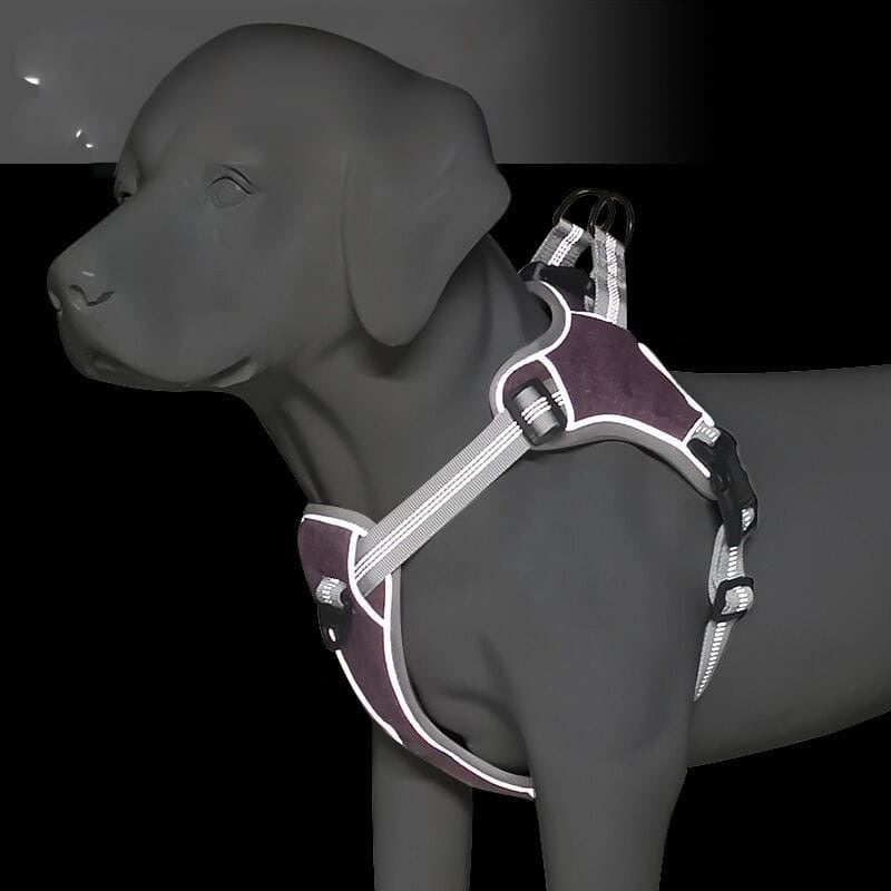 Reflective Dog Vest