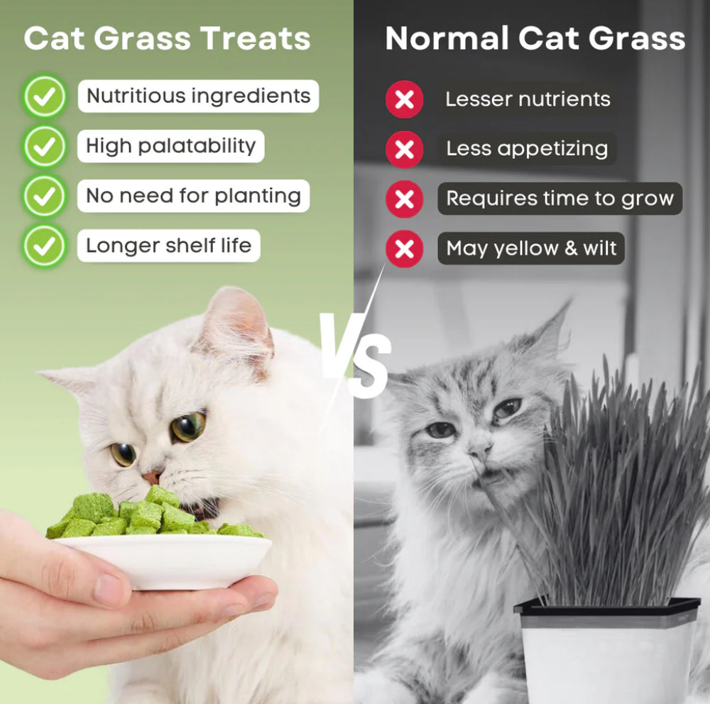 Freeze-Dried Cat Grass Bites