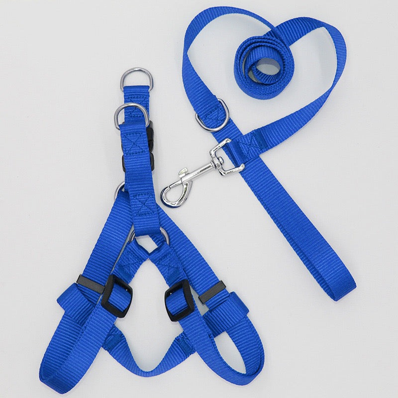 Nylon Harness & Leash Set