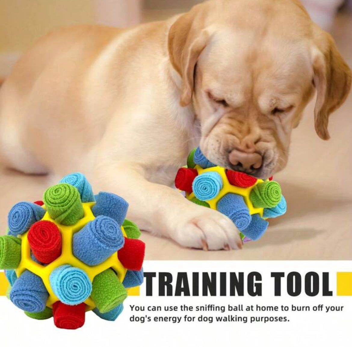 Snuffle Enrichment Toy Ball