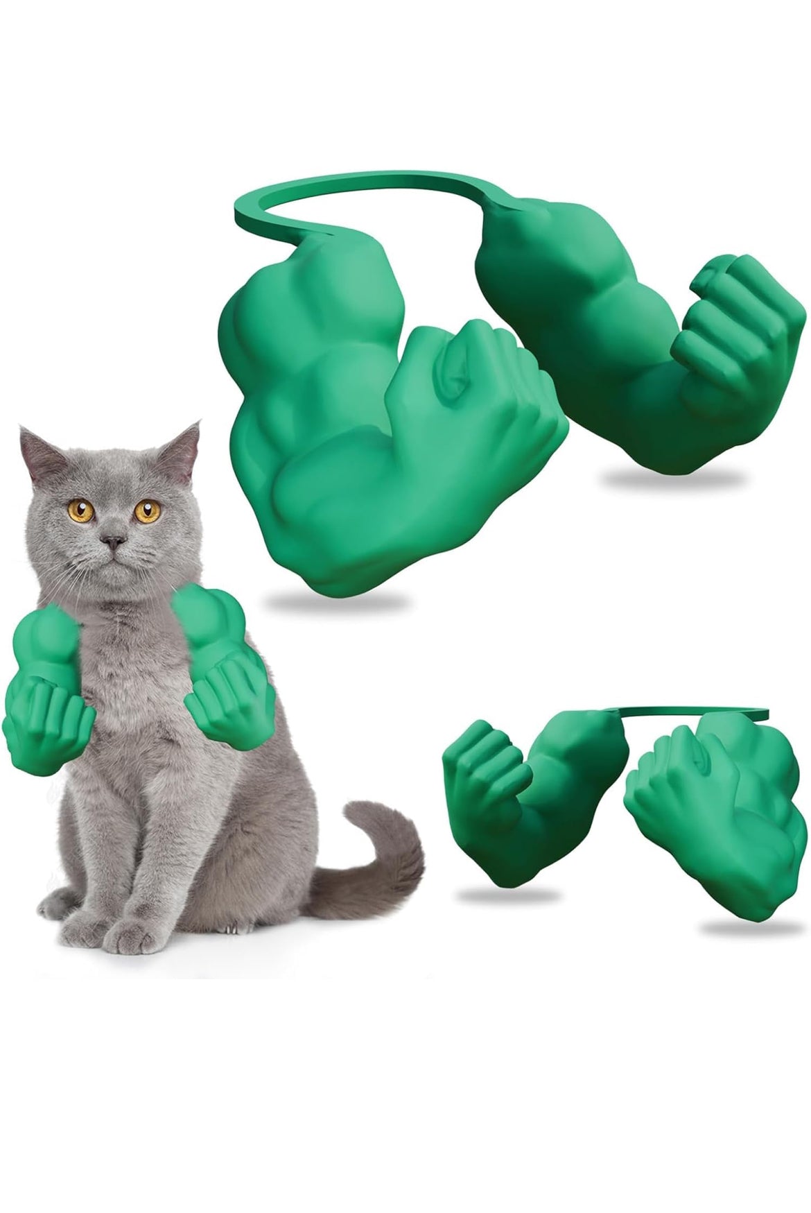 Cat Muscle Arms