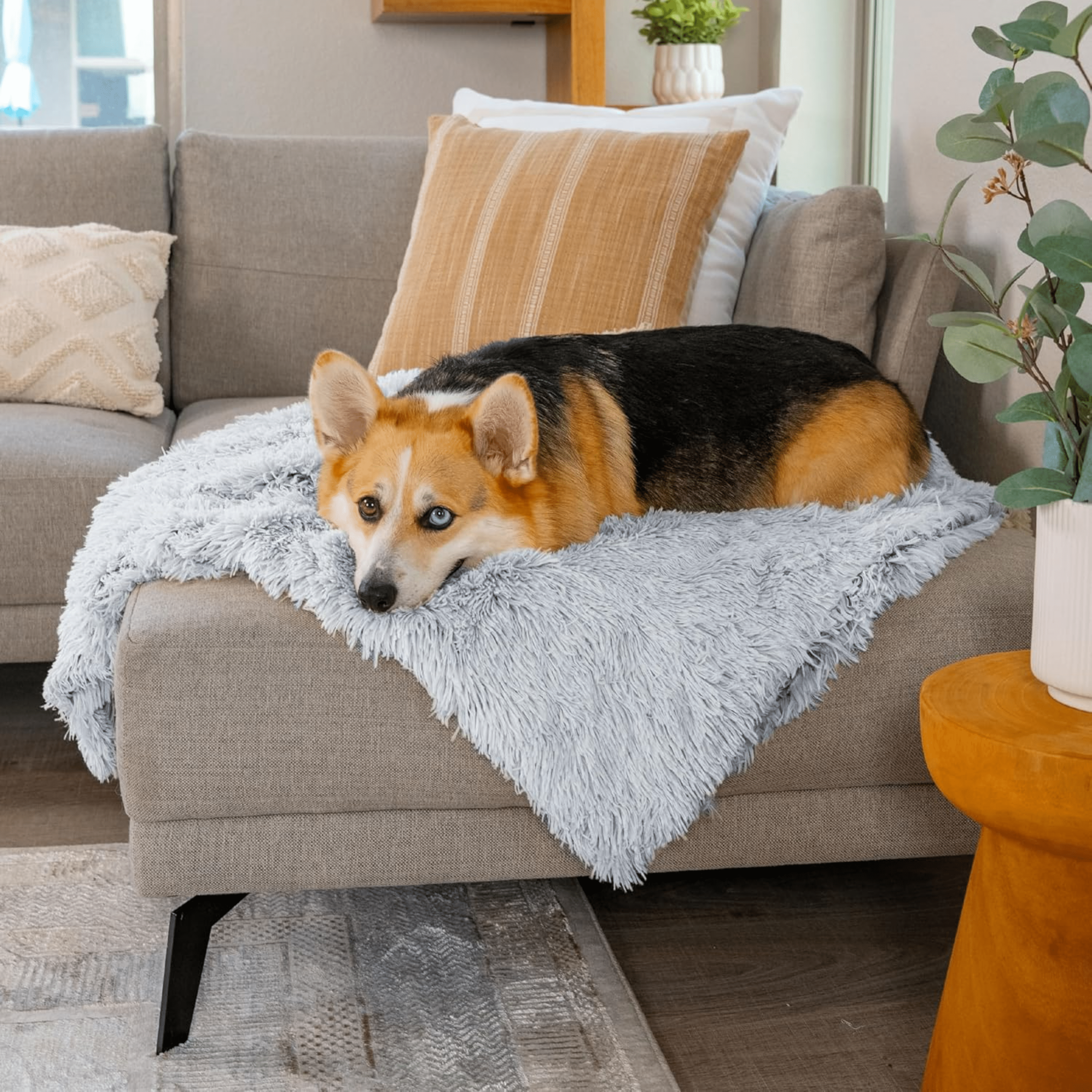 Calming Pet Blanket - Anti-Anxiety