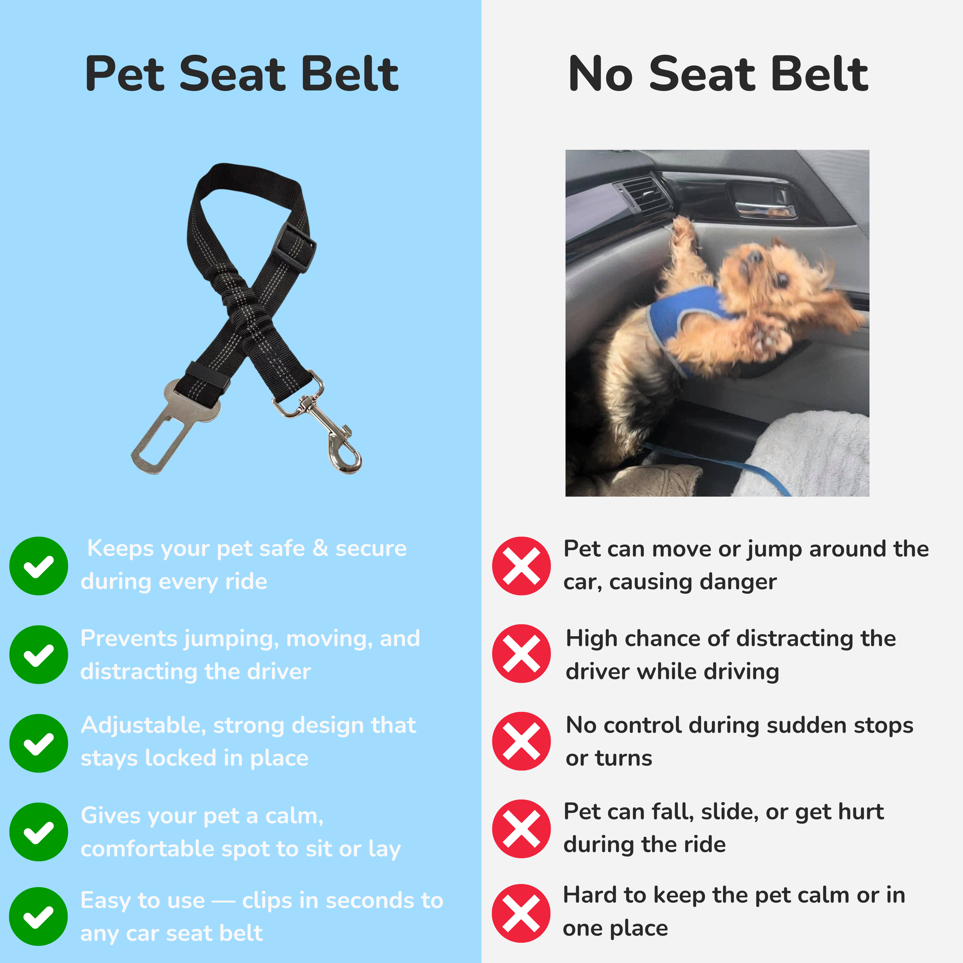 Bungee Seat Belt Leash
