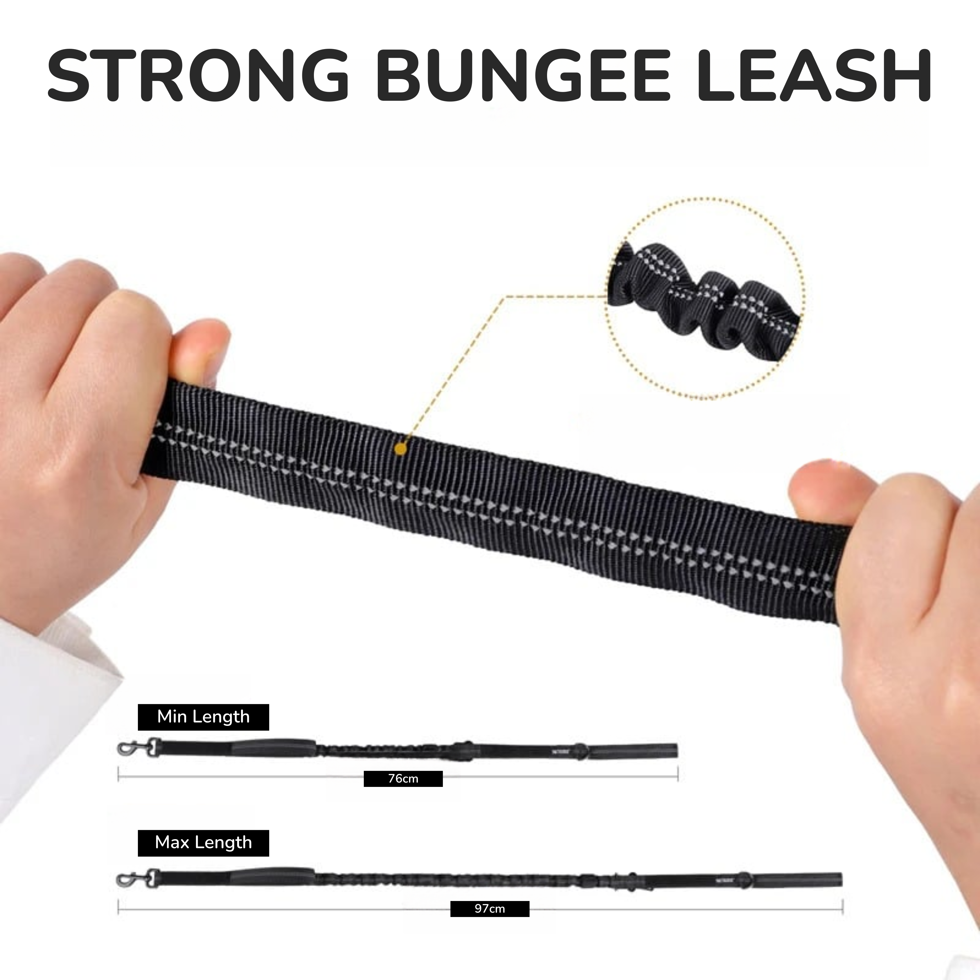 Bungee Seat Belt Leash