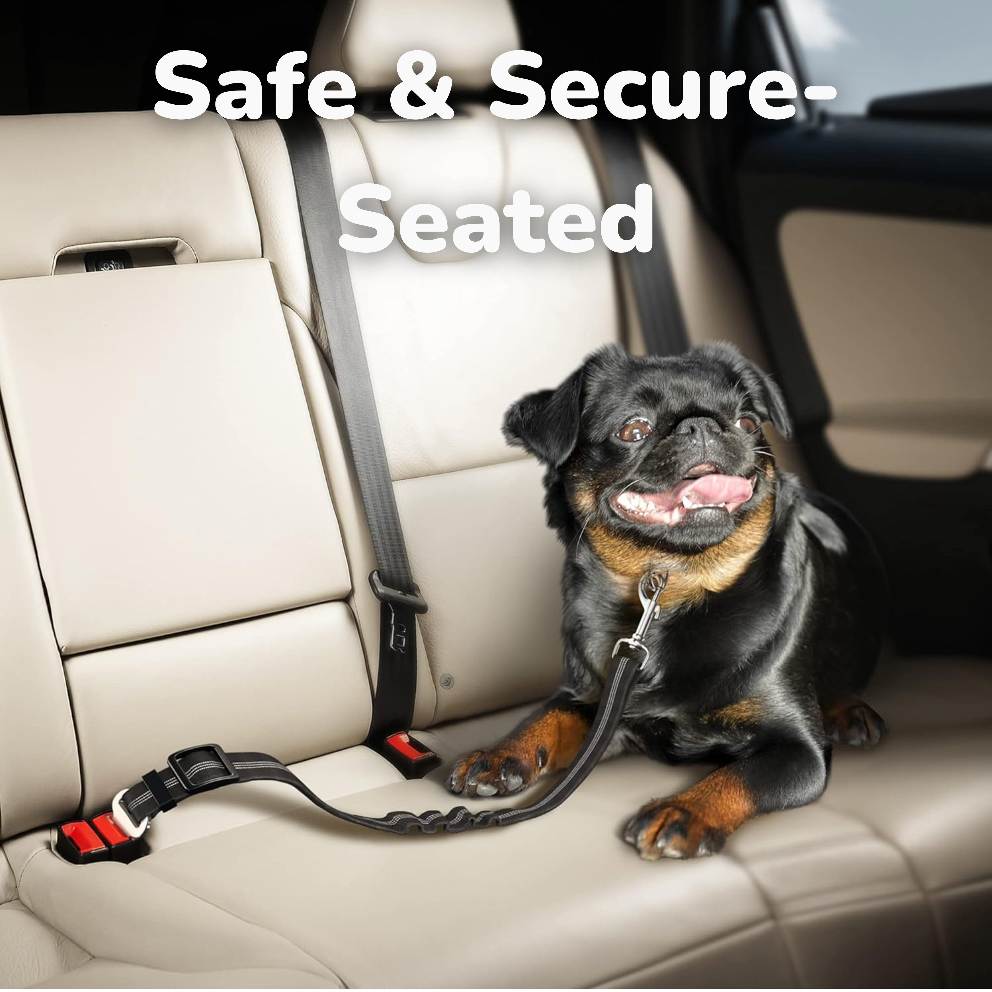 Bungee Seat Belt Leash