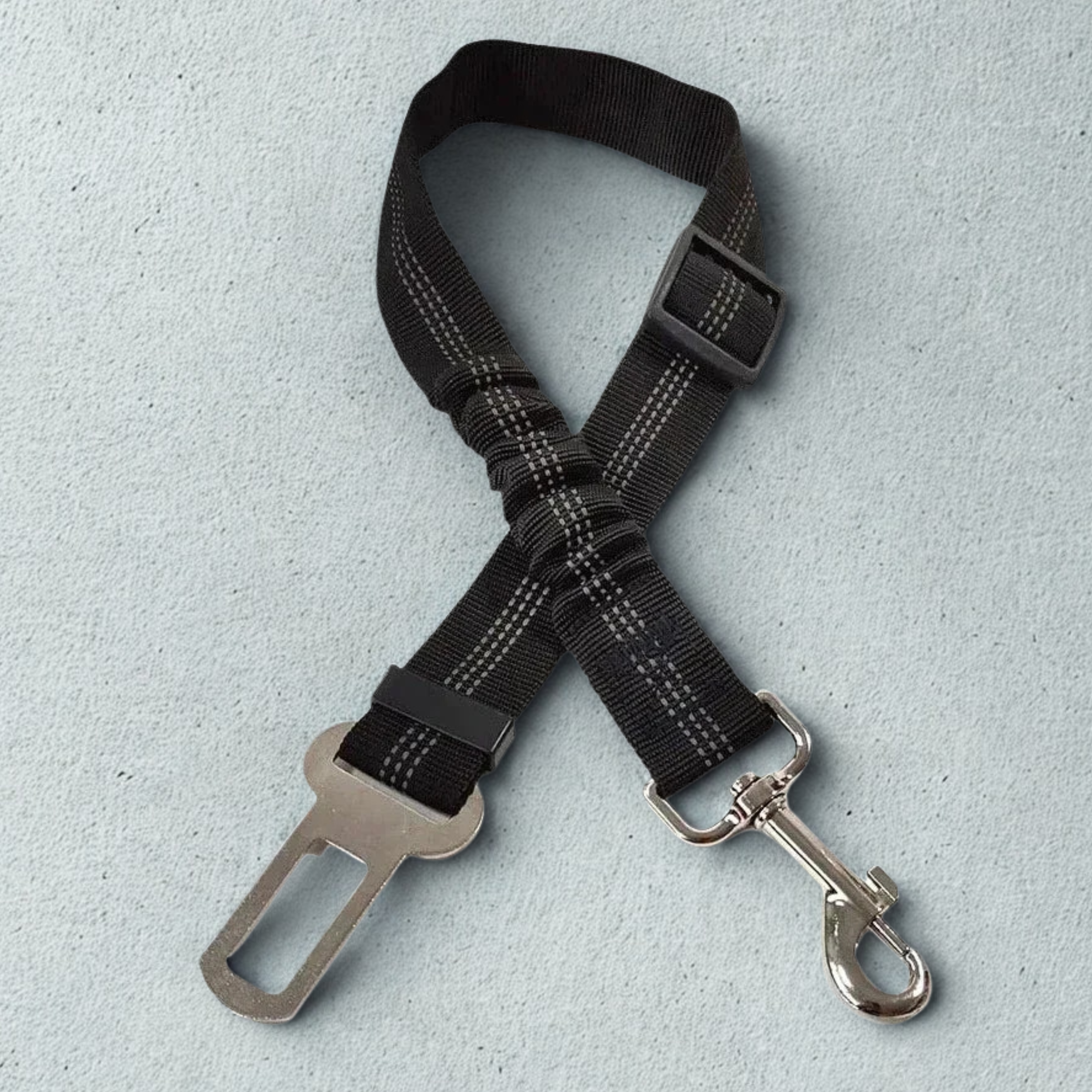 Bungee Seat Belt Leash
