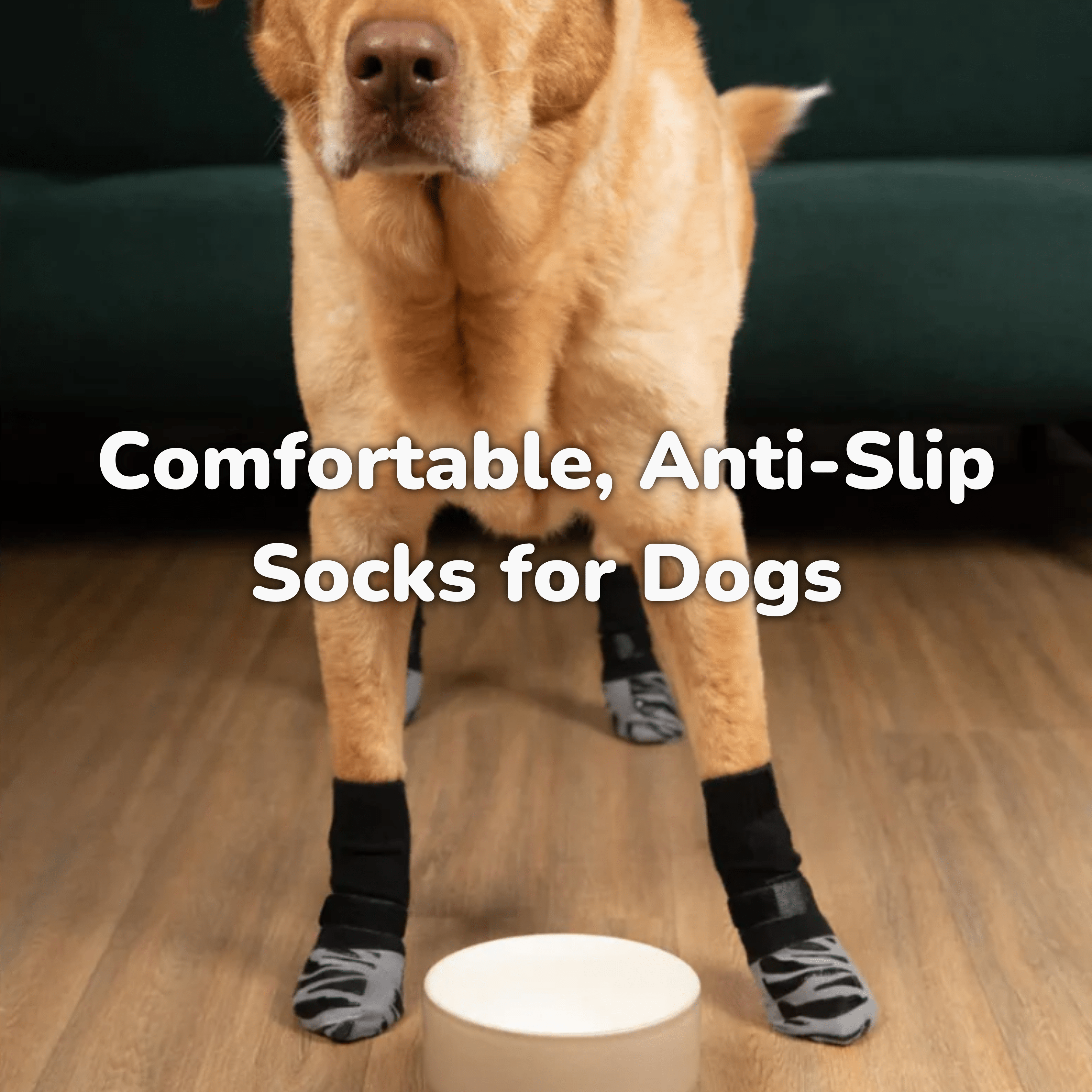 Premium Non-Slip Dog Socks
