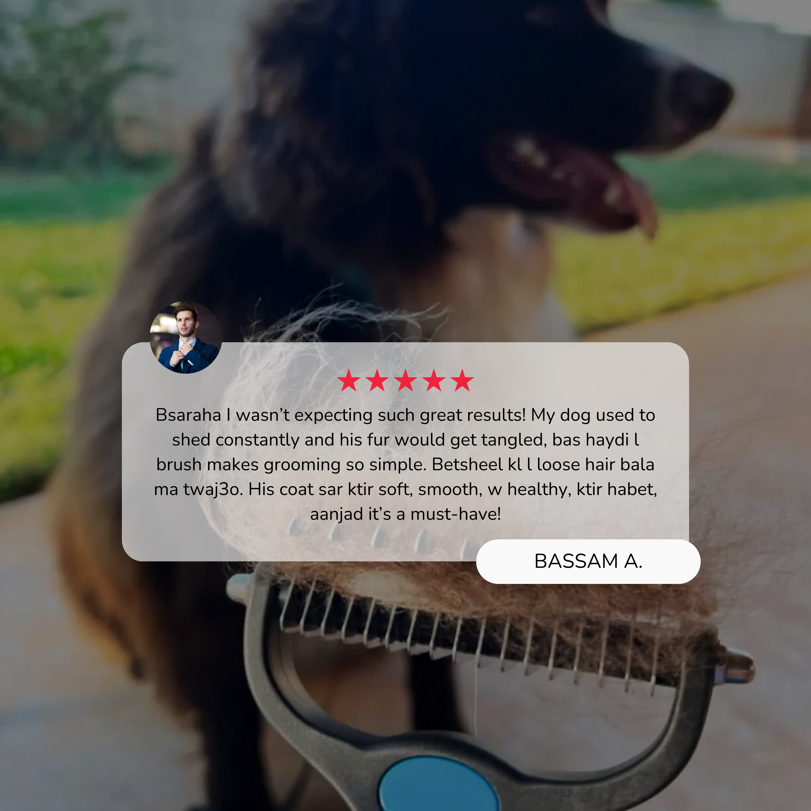 Undercoat Rake Brush