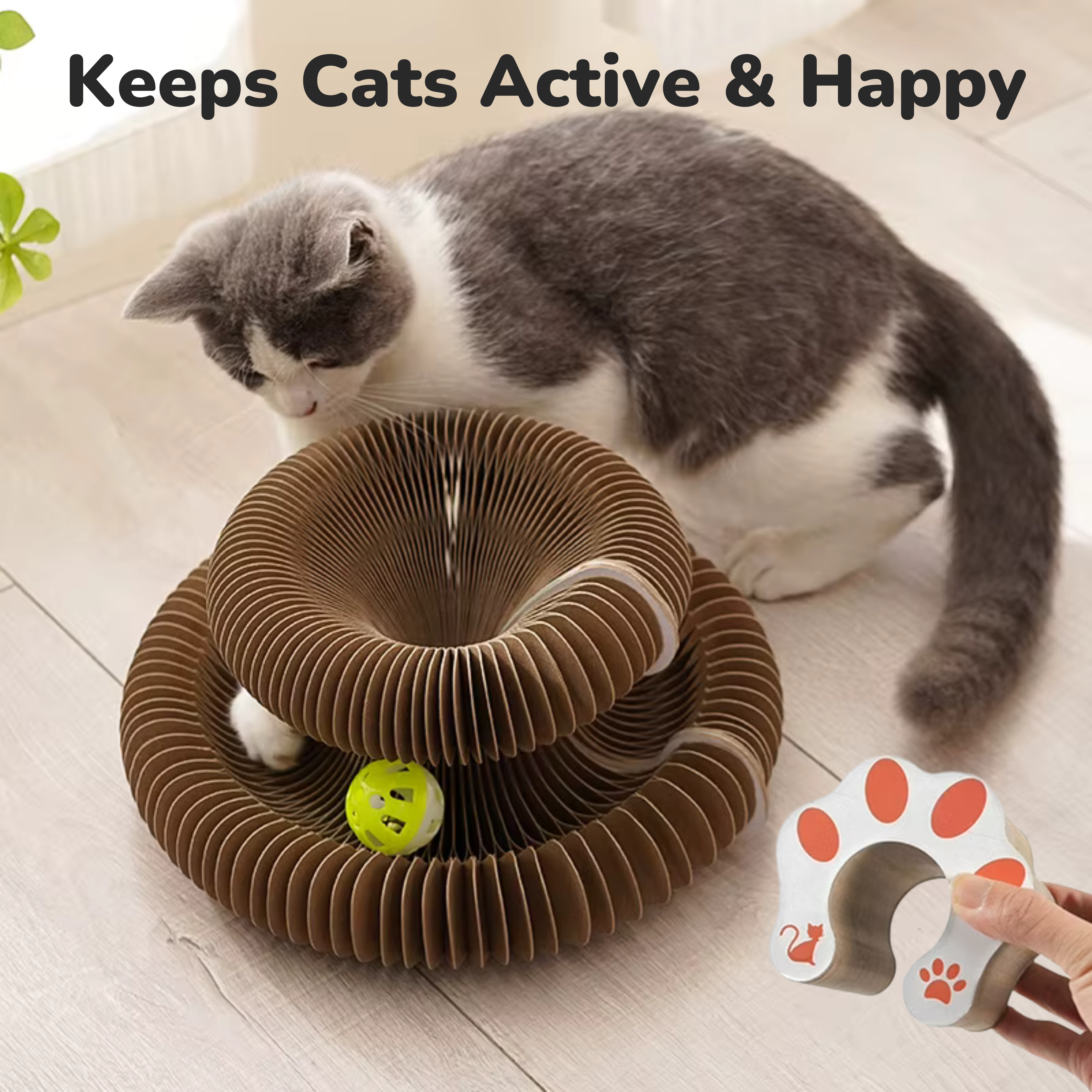 Cat Donut Scratcher Toy + Bell Ball