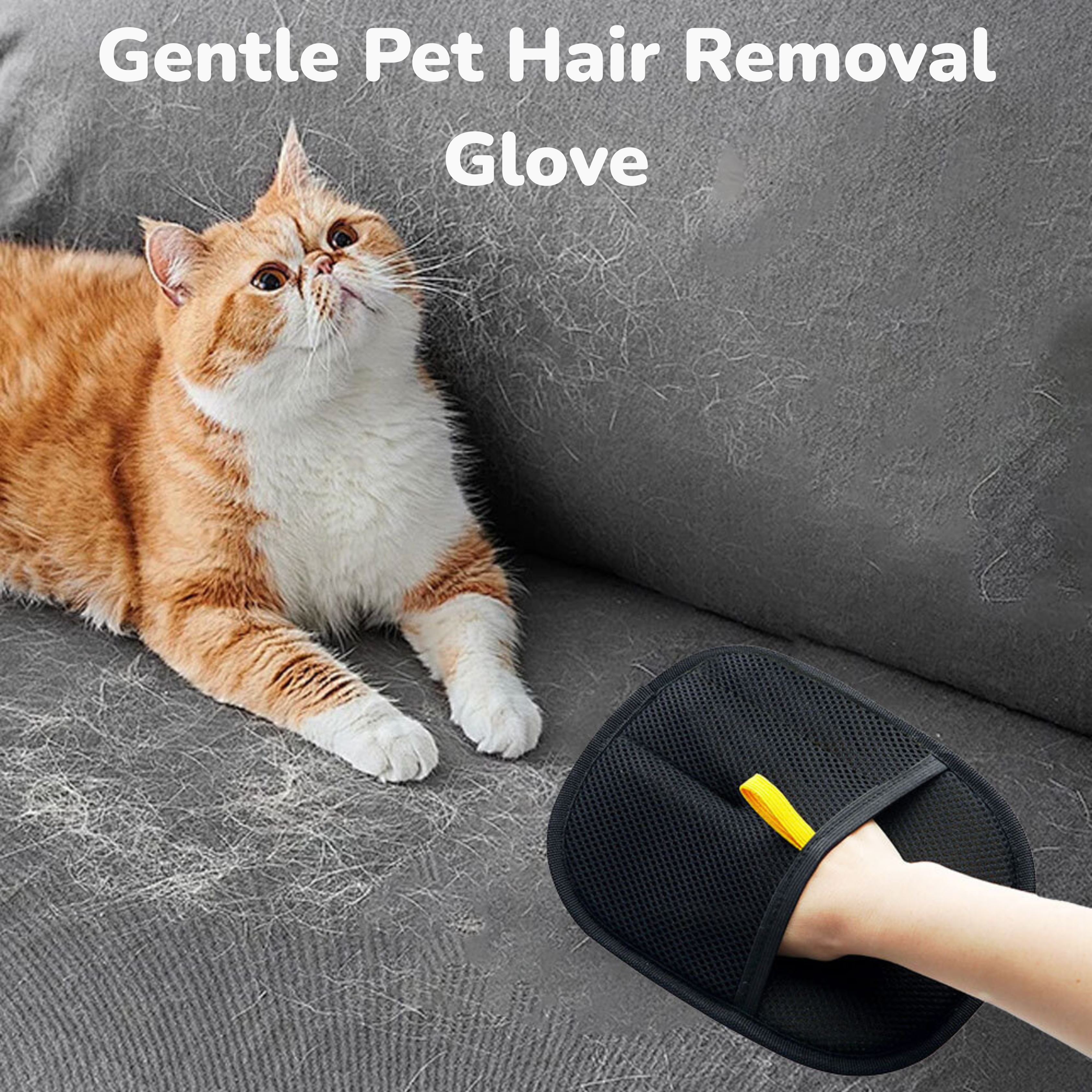 Pet Hair Remover Glove