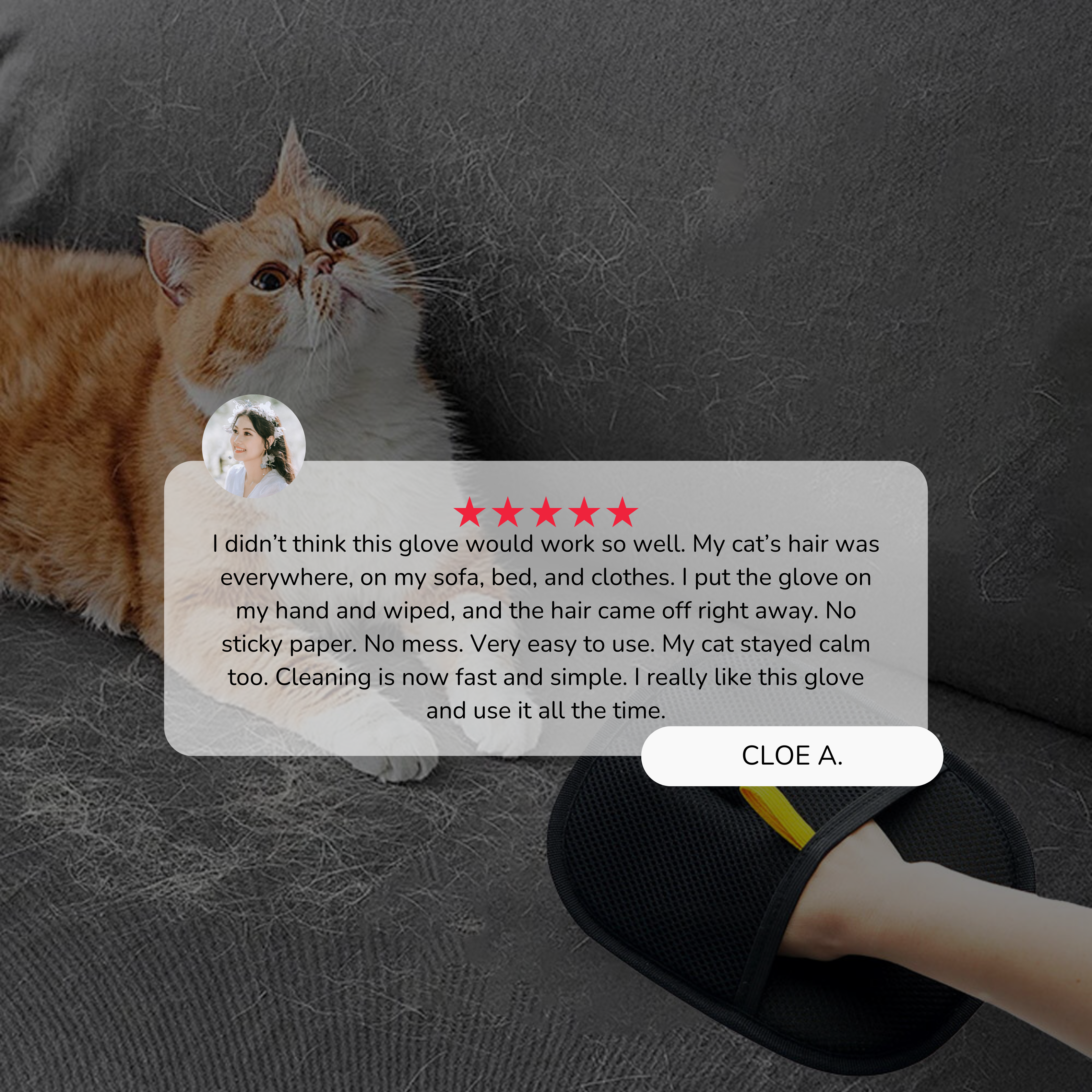 Pet Hair Remover Glove