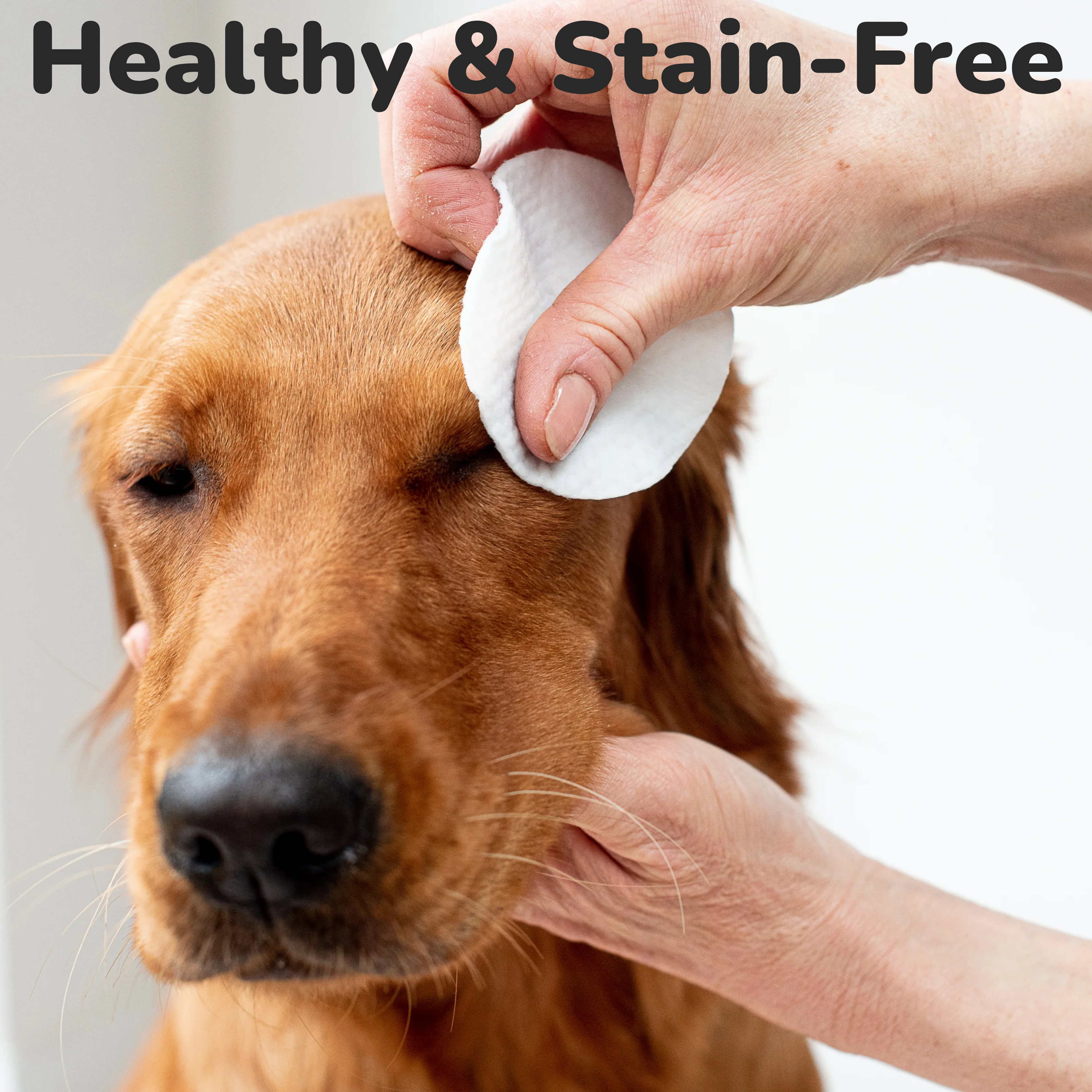 Tear Stain Remover Wipes