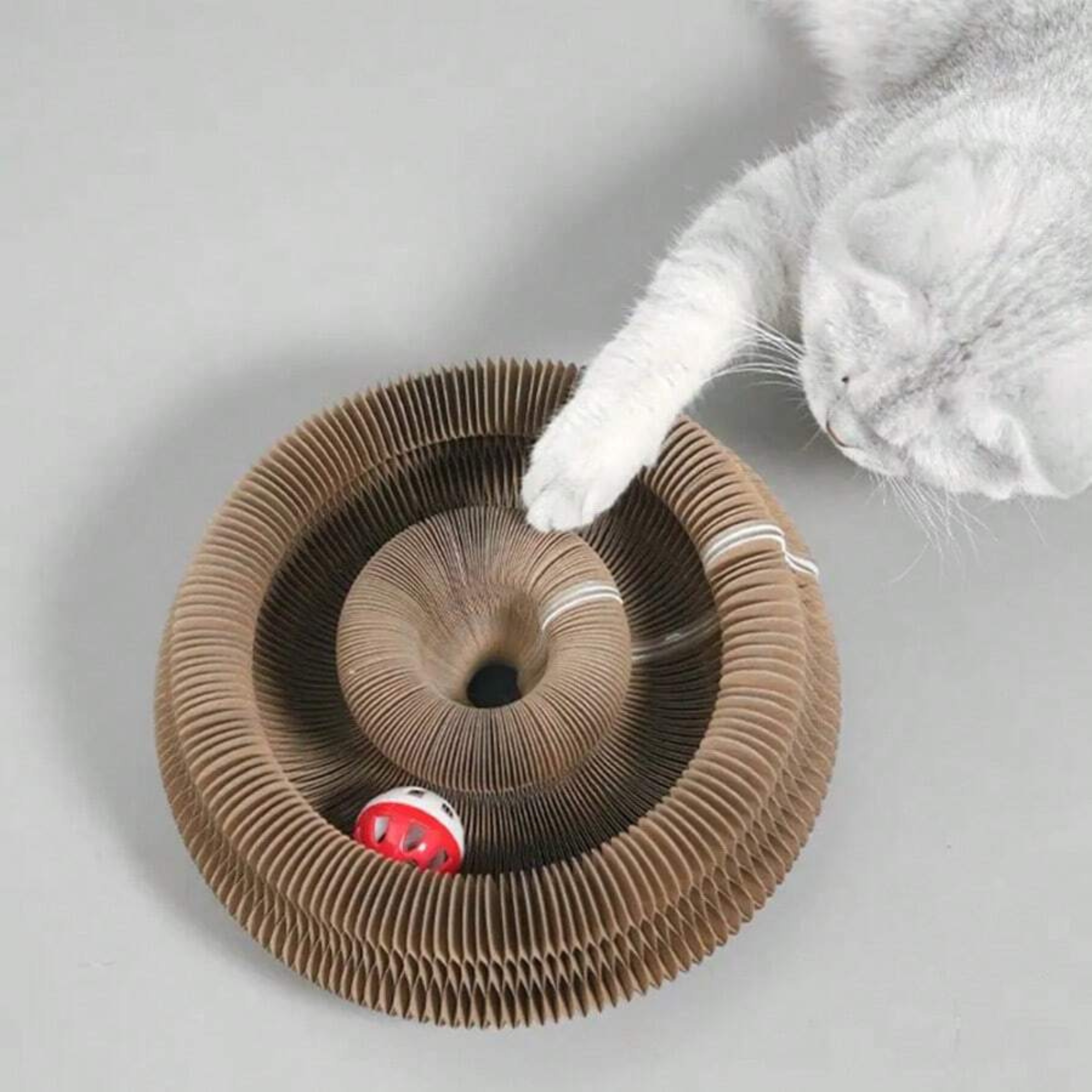 Cat Donut Scratcher Toy + Bell Ball