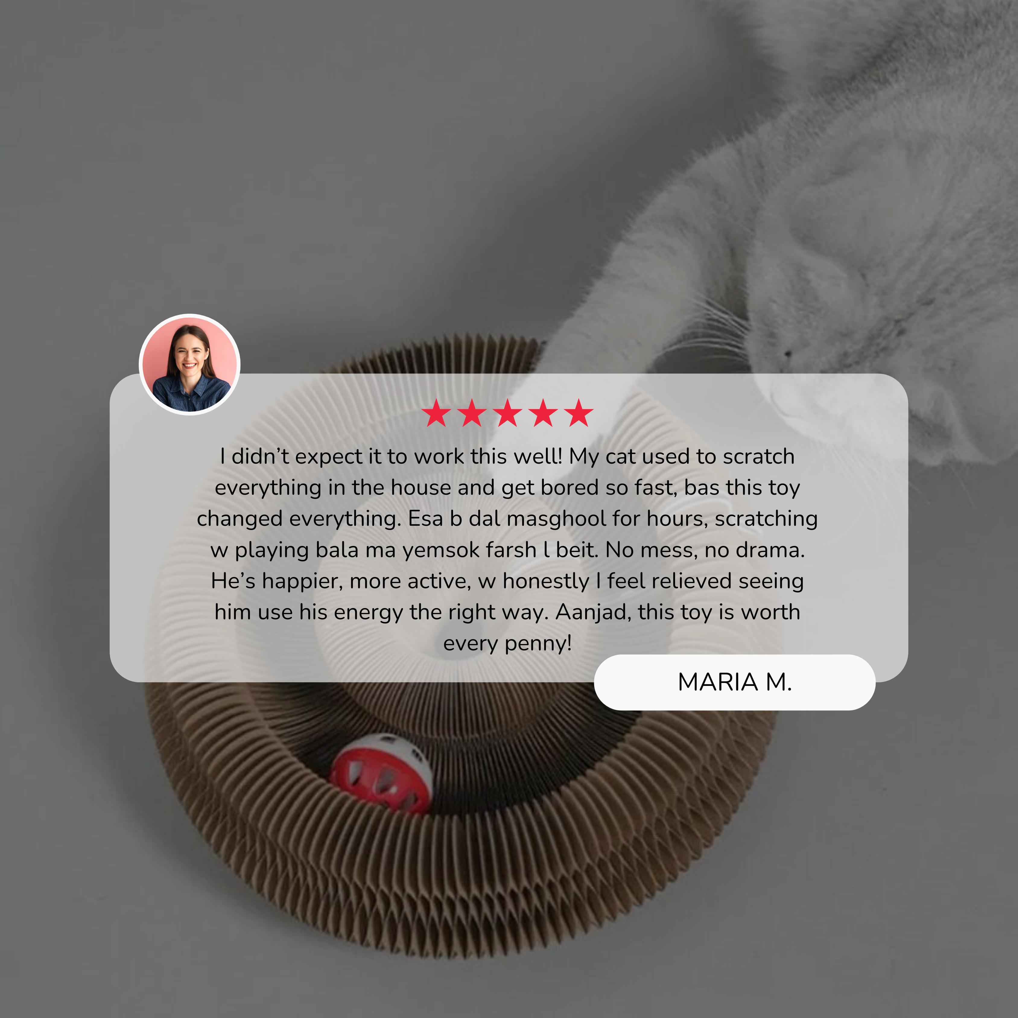 Cat Donut Scratcher Toy + Bell Ball